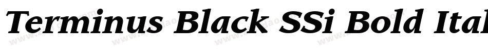 Terminus Black SSi Bold Italic字体转换